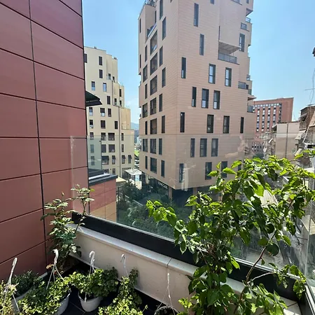 Oasis Near The *