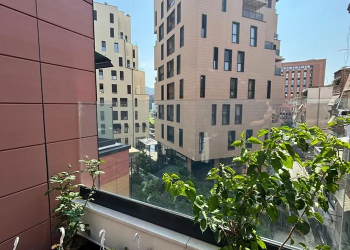 Oasis Near The *